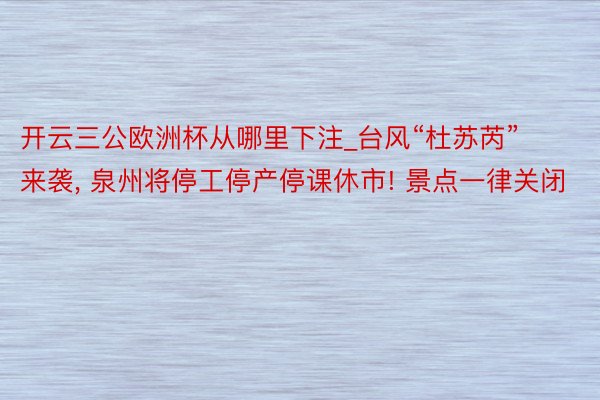 开云三公欧洲杯从哪里下注_台风“杜苏芮”来袭, 泉州将停工停产停课休市! 景点一律关闭