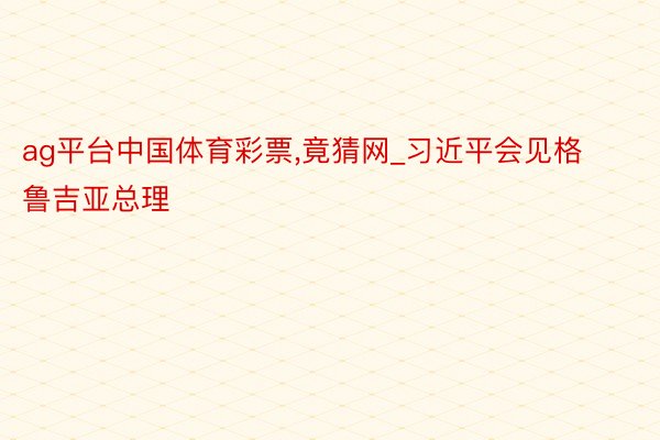 ag平台中国体育彩票，竟猜网_习近平会见格鲁吉亚总理