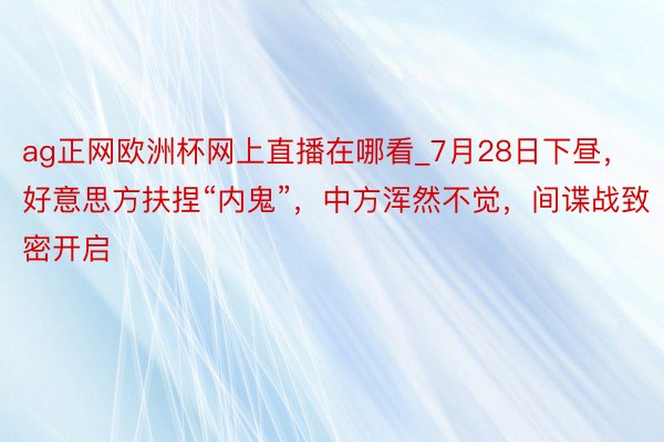 ag正网欧洲杯网上直播在哪看_7月28日下昼，好意思方扶捏“内鬼”，中方浑然不觉，间谍战致密开启