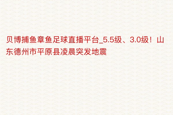 贝博捕鱼章鱼足球直播平台_5.5级、3.0级！山东德州市平原县凌晨突发地震