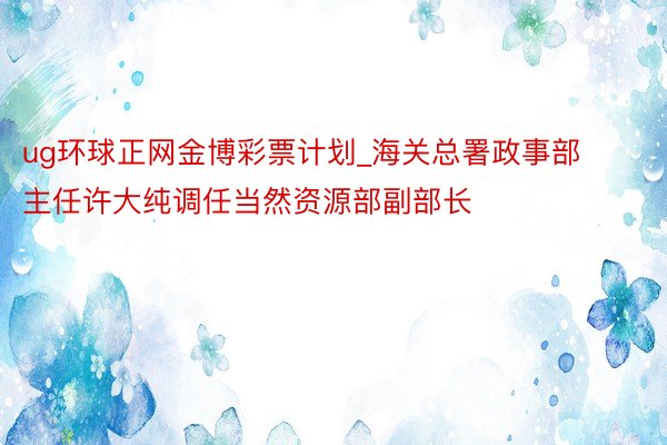 ug环球正网金博彩票计划_海关总署政事部主任许大纯调任当然资源部副部长