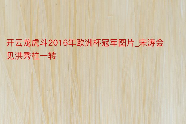 开云龙虎斗2016年欧洲杯冠军图片_宋涛会见洪秀柱一转