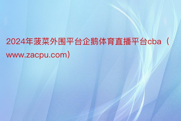 2024年菠菜外围平台企鹅体育直播平台cba（www.zacpu.com）